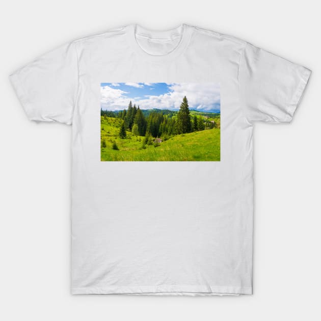 green hills panorama T-Shirt by psychoshadow